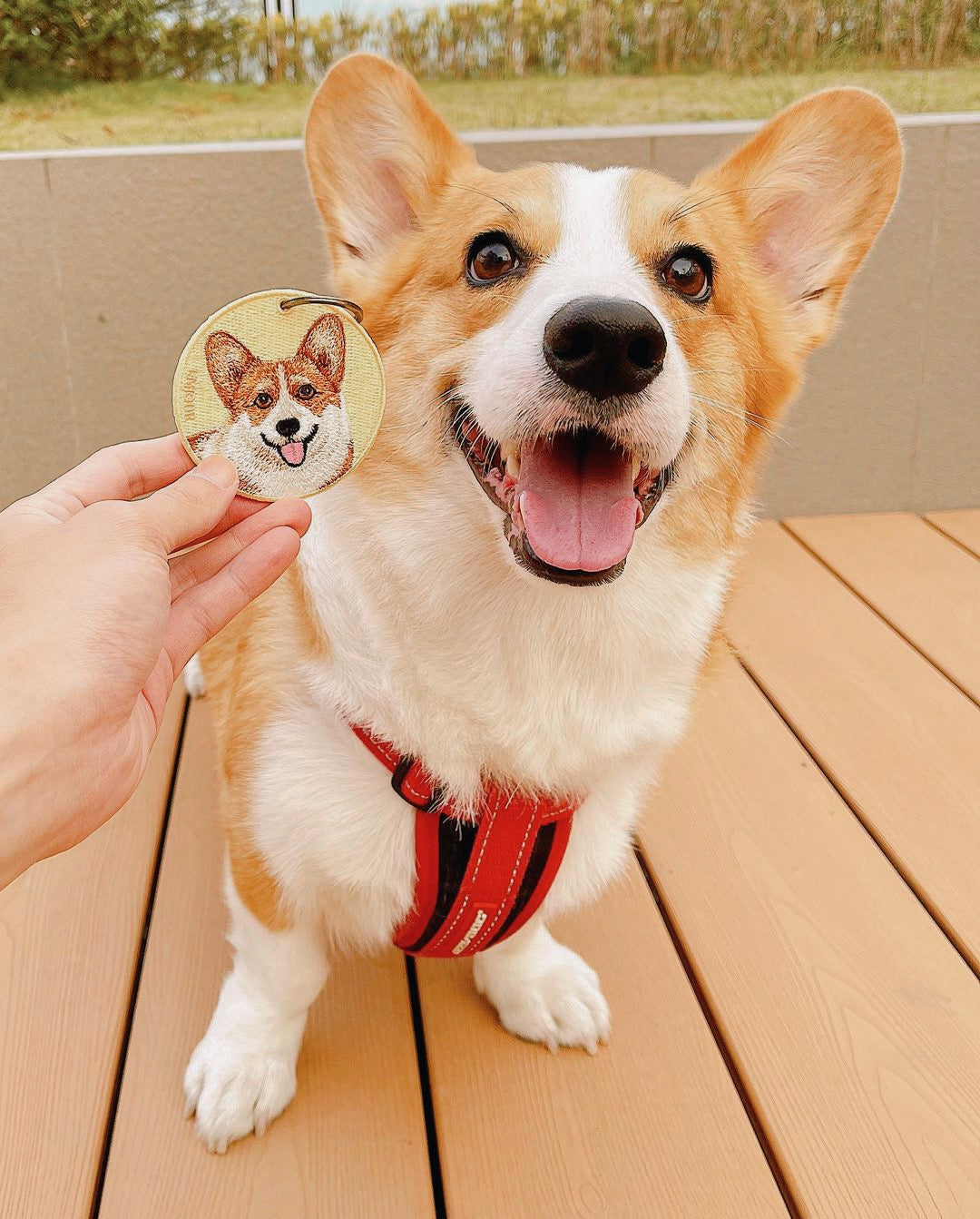 Bookeez Pets - Corgi