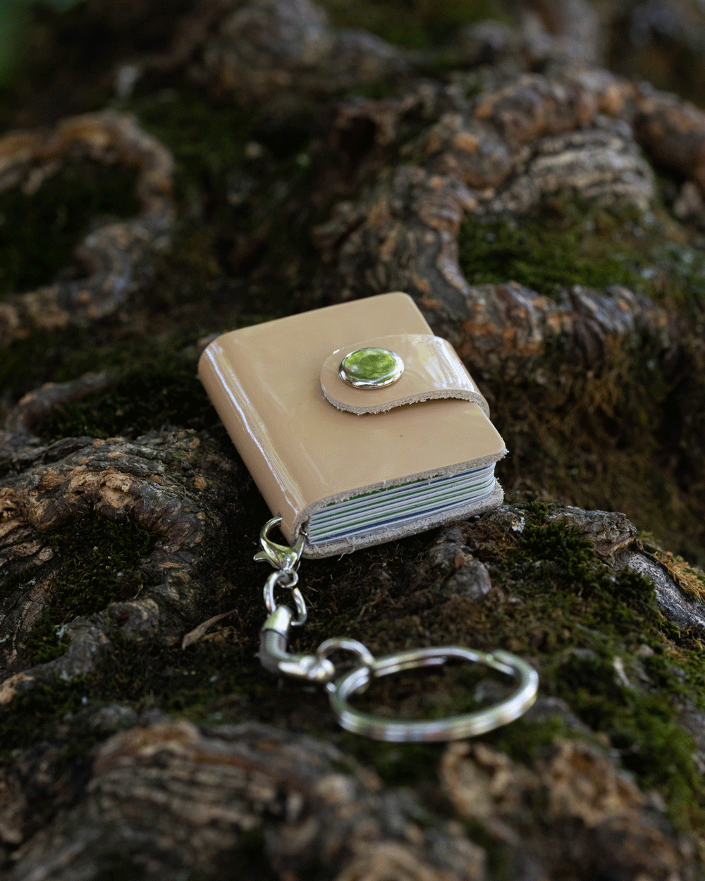 Glossy Beige Bookeez