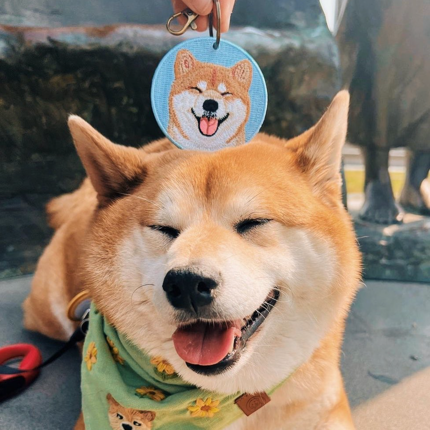 Bookeez Pets - Shiba Inu