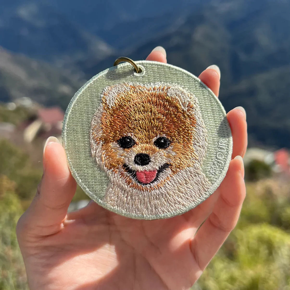 Bookeez Pets - Pomeranian